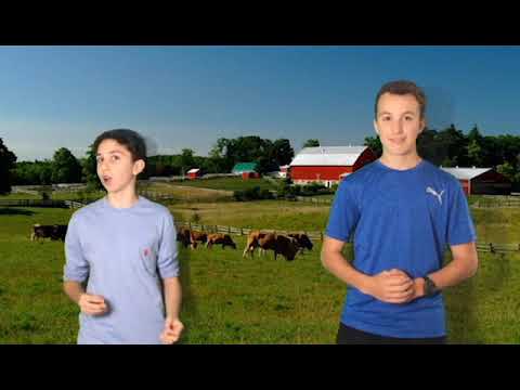 Neilson chocolate milk advert