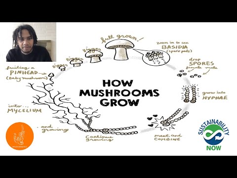Cultivating Culinary and Medicinal Mushrooms for Fun and Profit