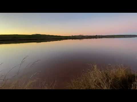 Stripped Bass fishing Nova Scotia 🎣 #seabass #striperfishing #fishing