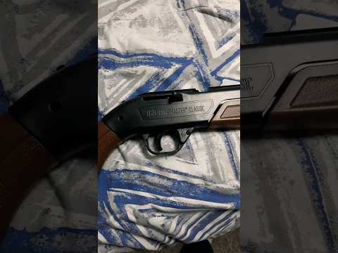 Crosman Pump Master 760BKT ($37) Air Rifle Review - BBs or Pellets