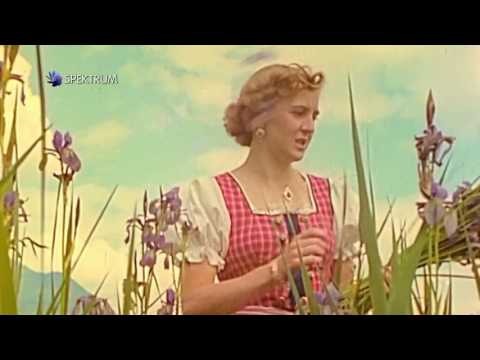 Hitlerové posledné hodiny / The Day Hitler Died (CZ Dokument)