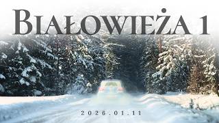 Białowieża 1 – Holy Winter in a Forest Beyond Civilization | Poland | Cinematic 4K HDR