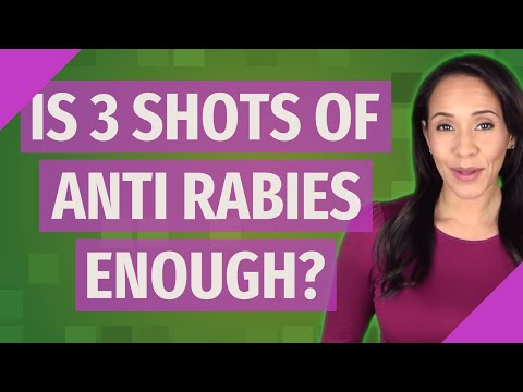 Is 3 shots of anti rabies enough?