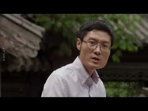 Buntes Gift - Umweltkiller Kleidung (WELTjournal +, ORF)