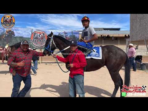 El Gallito Cuadra Gallitos vs El Rafa Cuadra Torres