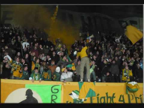 Fortuna Sittard Tifosi