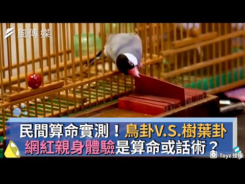 饒河鳥卦
