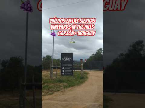 Viñedos en Sierras de Garzón 🍇⛰️ | Vineyards in Uruguay