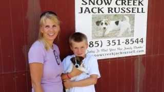 Snow Creek Jack Russell Customer Video Testimonial