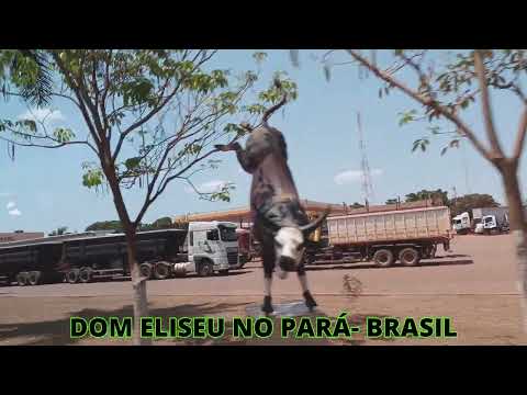 DOM ELISEU NO PARÁ  BRASIL