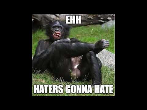 Ziqooh - For the haters