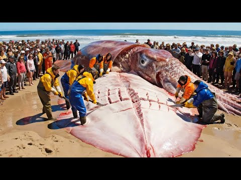 🦑 Hunting 5000KG deep sea monsters – Hunting giant squid & giant octopus at the bottom of the ocean