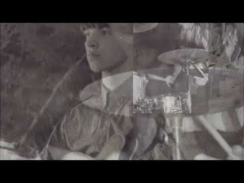 The Vejtables Anything