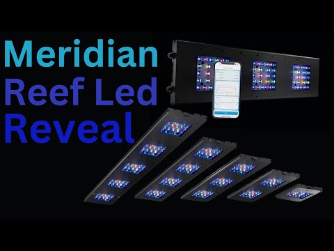 Meridian & Meridian Edge Reveal