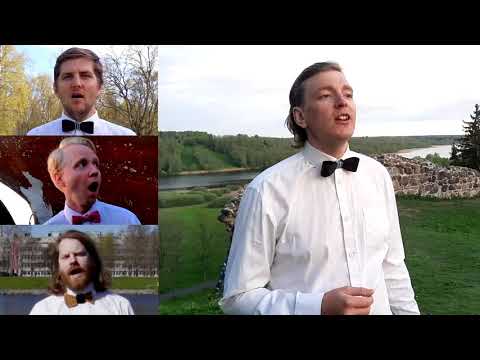 Tallinna Ülikooli Meeskoor - Viljandi serenaad