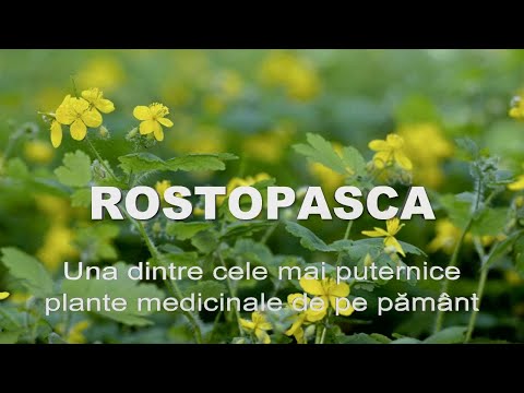 În tratamentul artrozei se folosesc medicamente