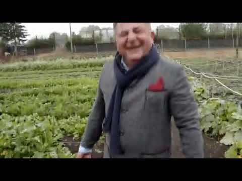 Makłowicz i koperkowy pies