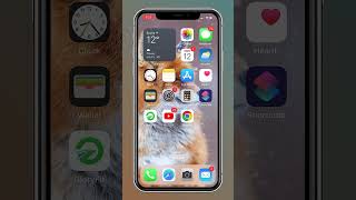 How to reset Home Screen Settings on your iPhone without delete apps?