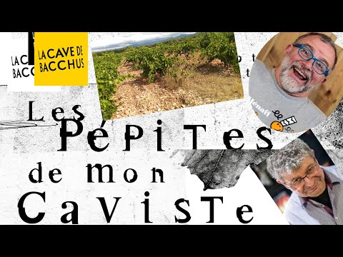 Les Pépites de mon Caviste - Domaine Sainte-Léocadie et Domaine la Croix-Chaptal