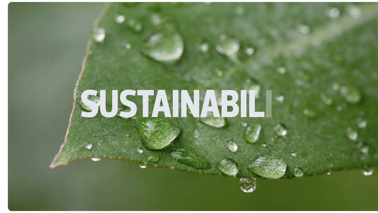 Hartie copiator Navigator Universal, A4, 80 g, 500 coli/top, 5 topuri/cutie