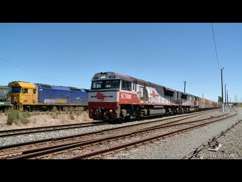 SCT 1PM9 Australian Diesel Freight Train Crossing Grain Train (20/1/2021) - PoathTV Railways