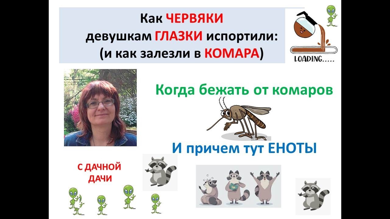 Про дирофилярий. Червяки из енотов. КОМАРЫ КОМАРИШКИ