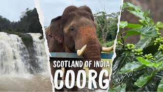 Coorg Travel Guide 2026 | Elephant Camp, Abbey Falls, Zipline | South India Trip 5