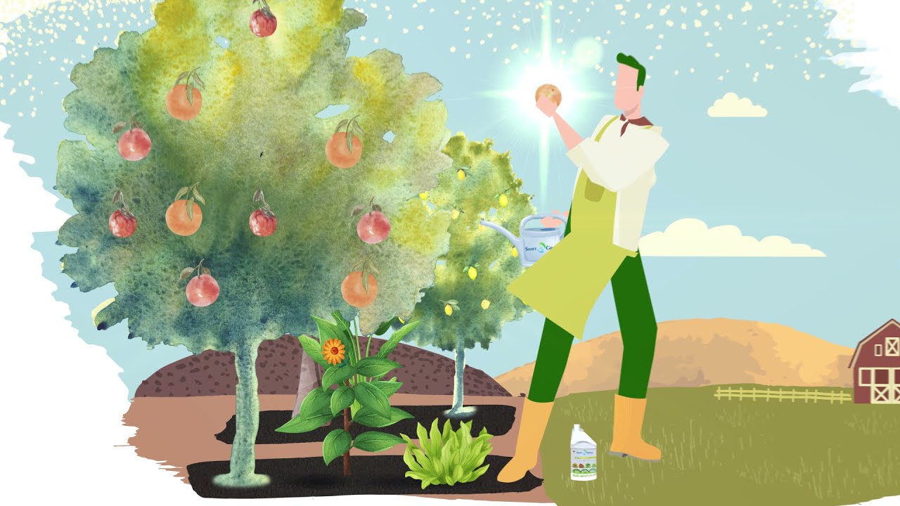 Swift Grow: Home of the 