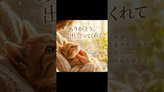 『ありがとう出会ってくれて』