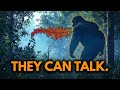 Bigfoot Has A Language Here S The Proof