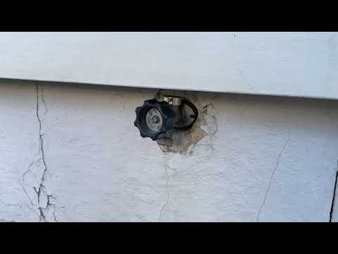 How Mice Were Entering This Home in Deal, NJ