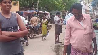 చేపల మార్కెట్ లో చేపలను ఏలా అమ్ముతున్నారో చూడండి చేపలను ఏలా శుభ్రం చేస్తున్నారో చూడండి 🤪💐