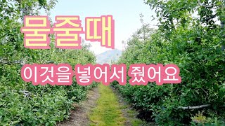 사과나무 물줄때 이것을 넣어서 주면 좋아요