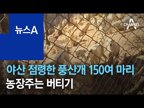 아이콘
