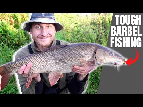 A Difficult Session Barbel Fishing on a Dropping River