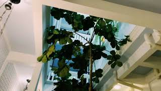 Best deco Areca hotel Penang