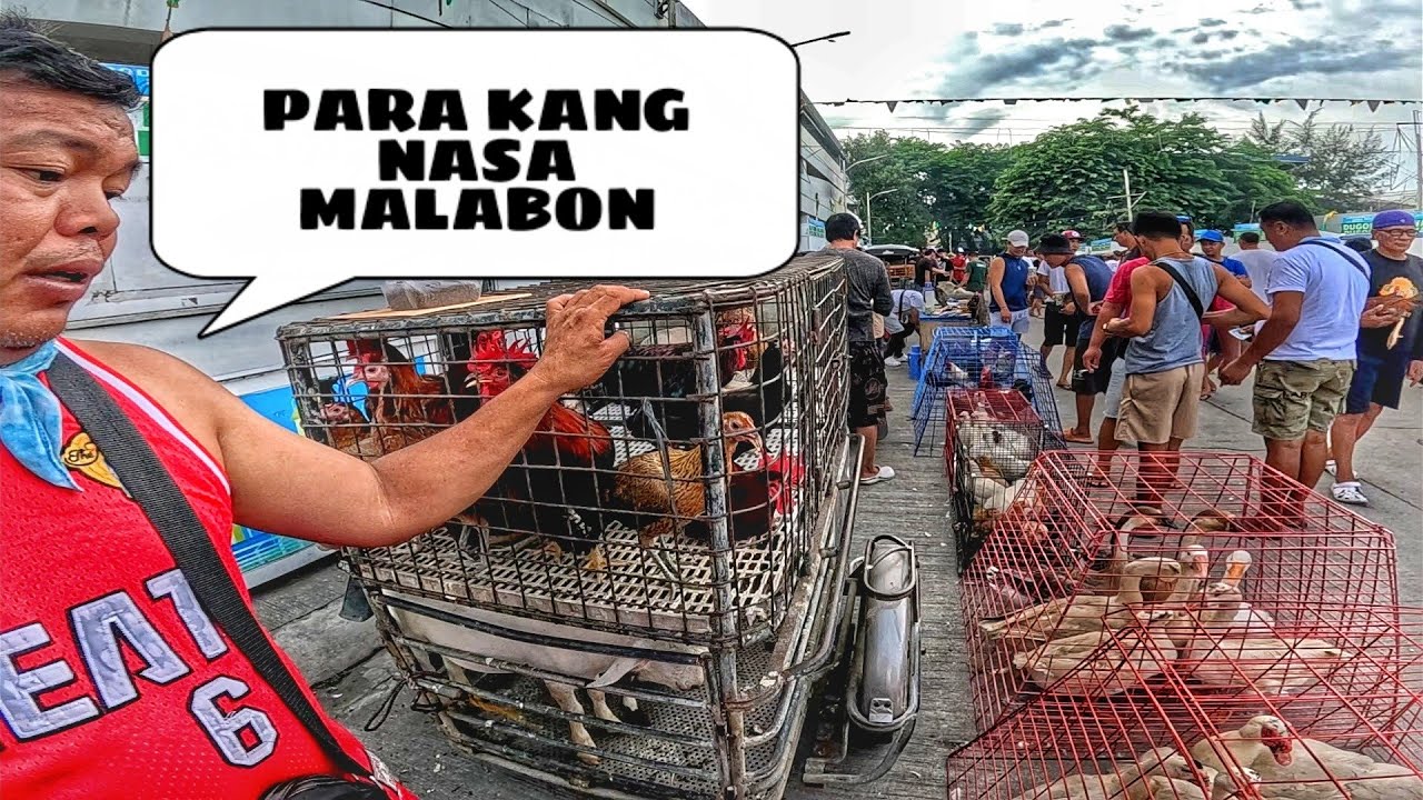 EKSENA SA BALIWAG MAY 28, 2025 | PET TIANGGE