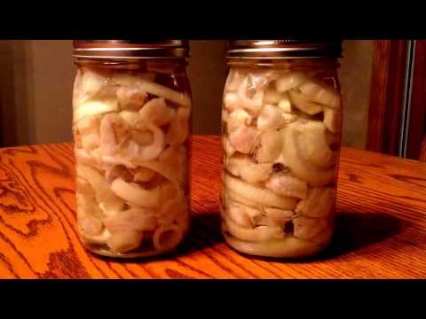 download lagu mp3 mp4 How To Pickle Fish Northern Pike, download lagu How To Pickle Fish Northern Pike gratis, unduh video klip How To Pickle Fish Northern Pike