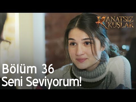 Kanatsız Kuşlar 36. Bölüm - Seni Seviyorum!