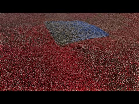 5.000 GOLDEN KNIGHTS vs 50.000 SPARTANS - Ultimate Epic Battle Simulator