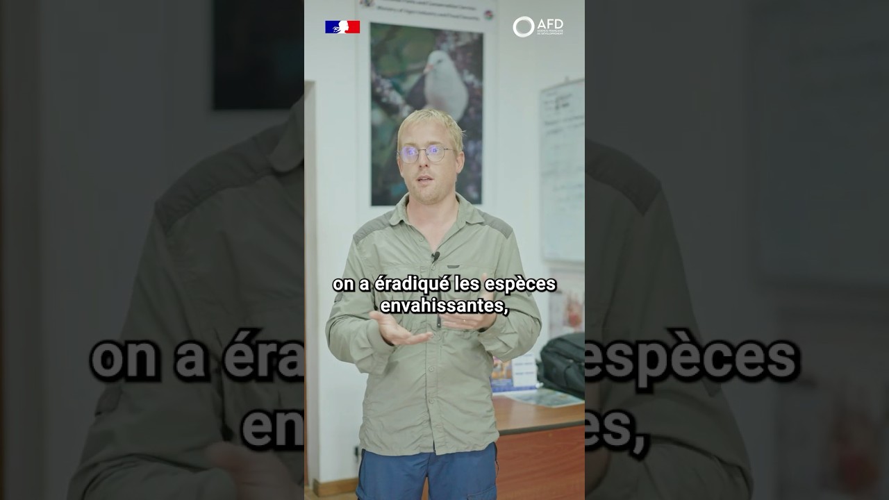 Le secret des forêts mauriciennes #shorts
