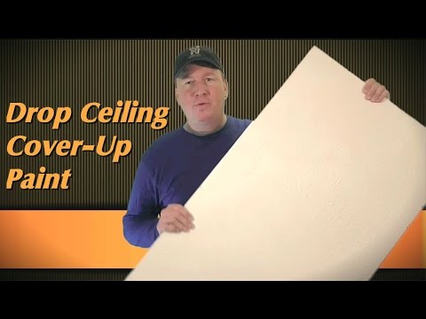 Drop Ceiling Touch-Up Paint Review:  Armstrong vs Kilz Upshot