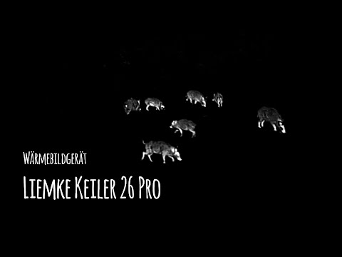 Wärmebildgerät Liemke Keiler 26 Pro - Review und Praxistest - Let's Shoot #161