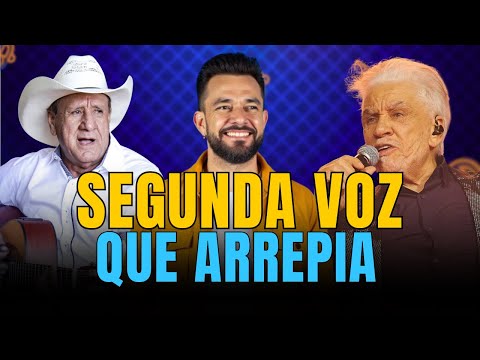 Como Mato Grosso e Creone Fazem Segunda Voz e o que você pode aprender com isso