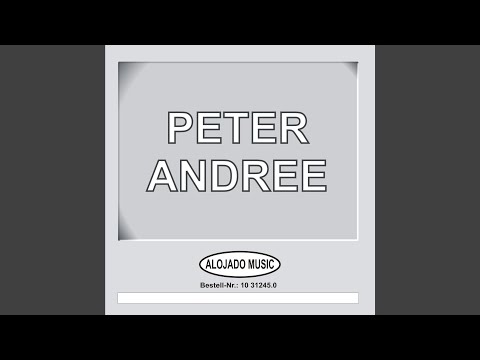 Du Bist Ne Wahnsinnsbraut - Peter Andree