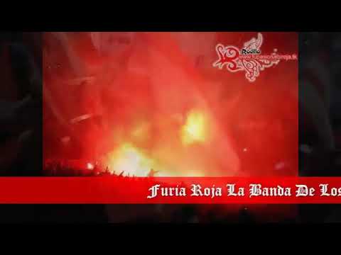 "Furia Roja Ambato" Barra: Furia Roja • Club: Técnico Universitario • País: Ecuador