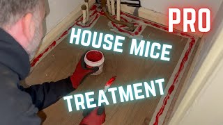 Pro MOUSE CATCHING tips and techniques! CONTACT GEL to get rid of mice. Best mouse trap advice.