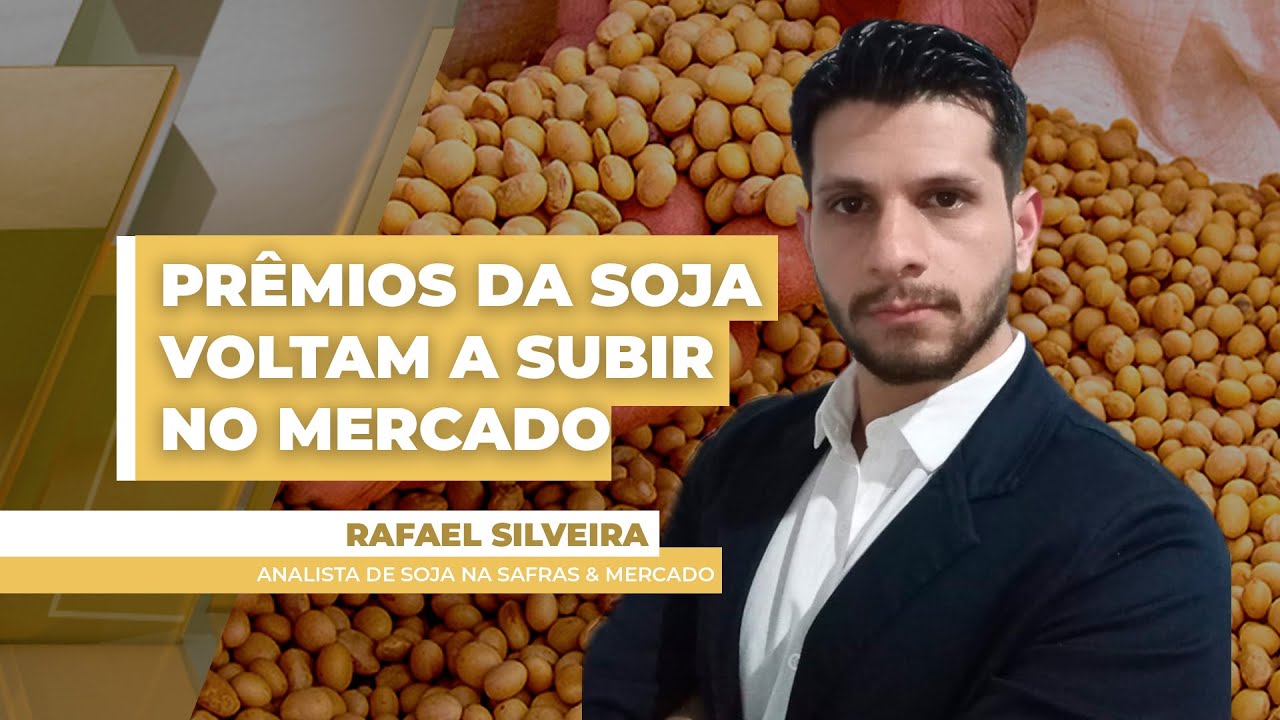 Brasil tem prêmios melhores de soja com mercado demandado, mas atraso da chegada da nova safra de...