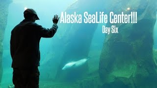 Alaska SeaLife Center!!!