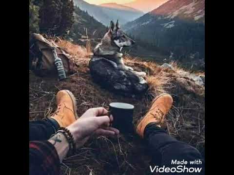 Marvel Vibes ... Loofy 🔥 M$ney 🔥🔥🇪🇺🇺🇸🇹🇳